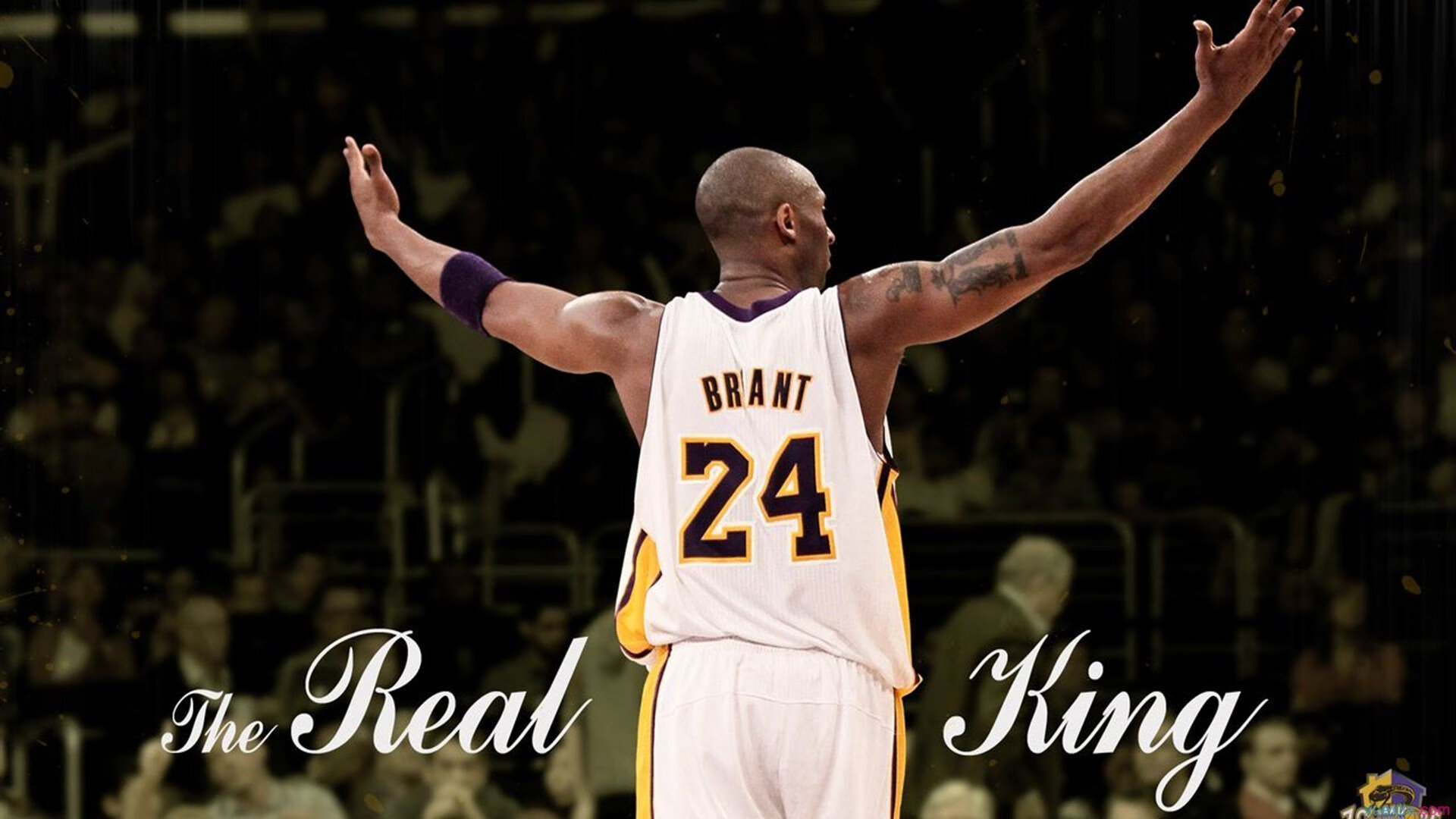 G联赛比赛数据统计发布，g联赛得分榜