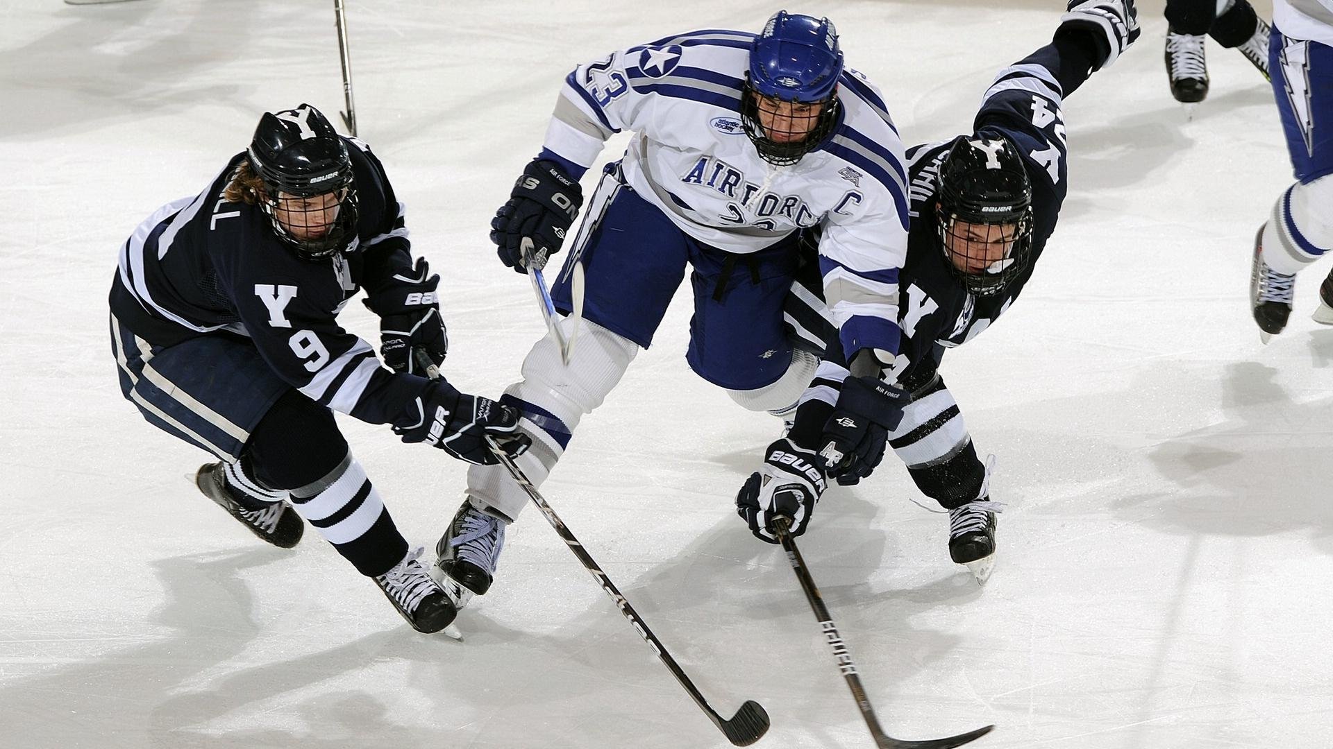 “真实故事:球员运动员背后的奋斗故事”,运动员成功背后的故事