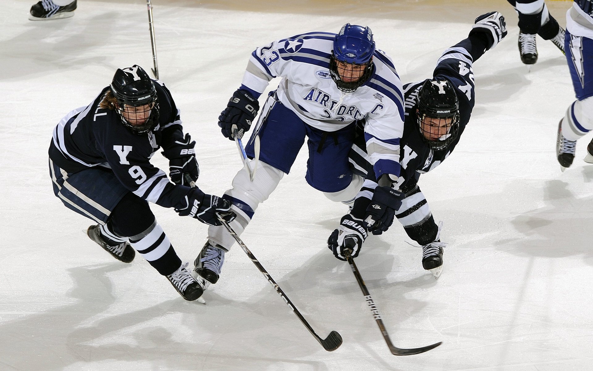 逆袭传说：落选秀到超级明星的奇迹旅程，逆袭传奇人物